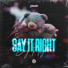 CALVO - Say It Right