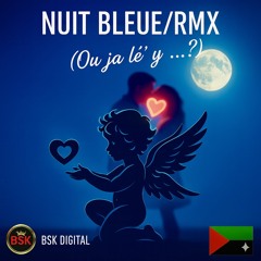 NUIT BLEUE-FUZION/RMX
