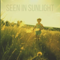 Seen In Sunlight (naviarhaiku529)