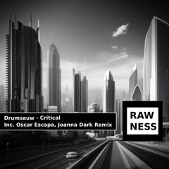 Drumsauw - Critical (Original Mix)