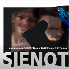 Golden Gage Exit feat. SIENOT