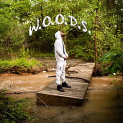 HUSTLING BACC (2019)