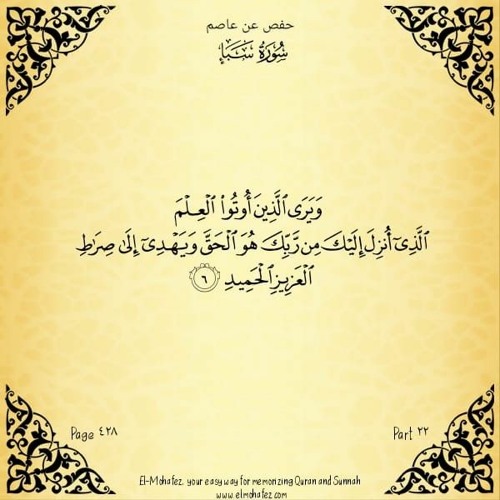 كل يوم آية - الجزء 22 - محمد الغليظ
