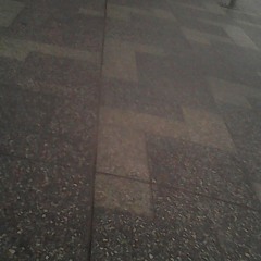 the little scientist