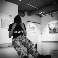 majorr flash - farside [p. nerd1k + thankyouwill + nash]  @407leaks