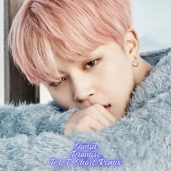 Jimin - Promise (P.L.F. Short Rmx)