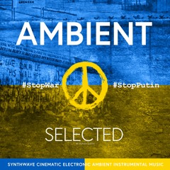 AMBIENT SELECTED + Bonus Track