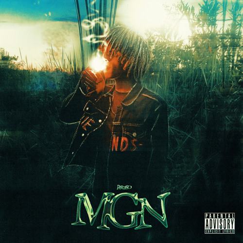 MGN