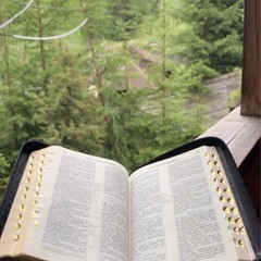 Cliffe Knechte - science cannot contradict the Bible