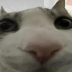 Asepa - Rich Man - (Echan Remix)