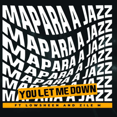 You Let Me Down (feat. Lowsheen, Zile M)