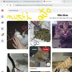 eat ur cat