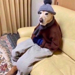 Dec2021 Clips ft. @basrrr @ryvr