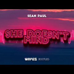 Sean Paul - She Doesn't Mind (WAFES Bootleg) 2022