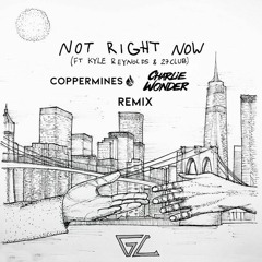 Gabe Ceribelli (feat. Kyle Reynolds & 27CLUB) - Not Right Now (Coppermines & Charlie Wonder Remix)