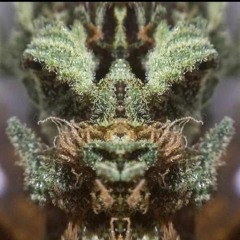 Relllloooooo ft ROJO