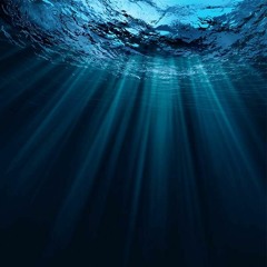 Deep Ocean   - w/Surfers Like Us