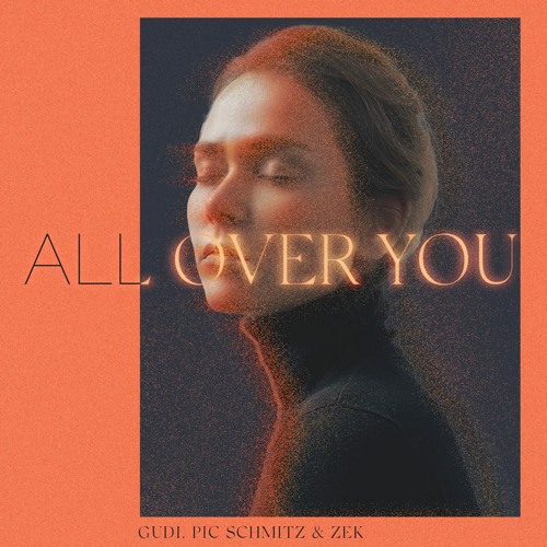 Pic Schmitz & GUDI Feat. Zek - All Over You (Extended Mix)