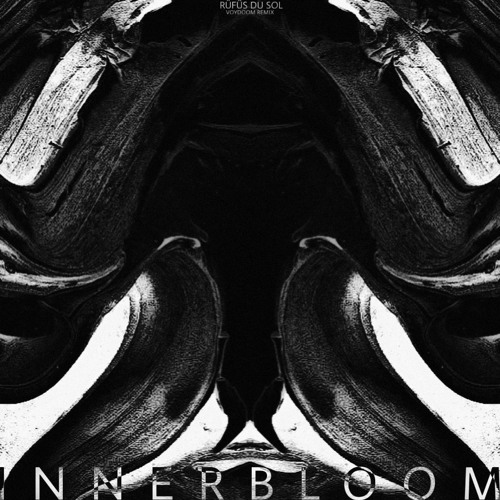 RÜFÜS DU SOL - INNERBLOOM (VOYDOOM REMIX)