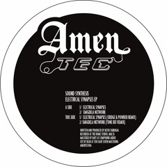 Sound Synthesis - Emigdela Network (Tone Def Remix) - AmenTec006 - 192mp3 clip
