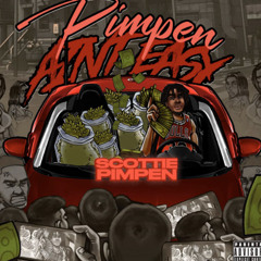 Scottie Pimpen - 20 Pack
