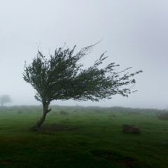 Blowing Away Anger, Frustration, Negativity, and Hurt Meditation (Re-Upload)