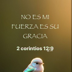 Mi_voluntad cuán débil es..🌺🎻 My will is weak..🌸🌱 LE Arcaceres-Perú 🌹🌺