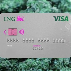 UP INNA UR VISA - CADENZA X M.I.A X BANTU (molly69 flip)