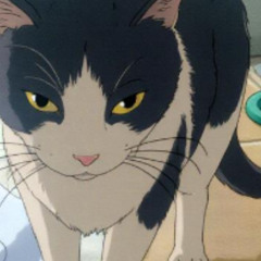 Cosina - Oh yeah… DamDam’s in the club tonight