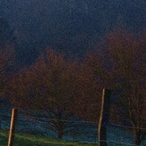 demo