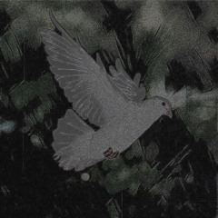 Dove  ( prod silenthuman )