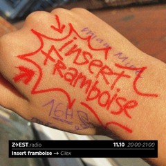 Insert framboise avec Cilex - 11/10/23