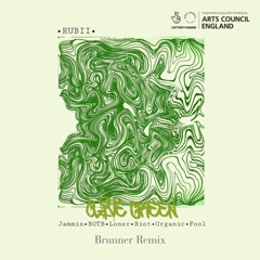 RUBII - Jammin (Brunner Remix)