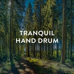 Tranquil Hang Drum Music