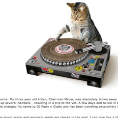 mycatjustproducedthis