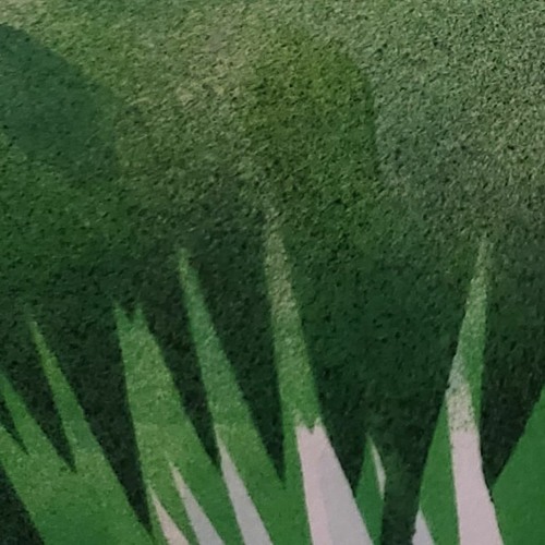 Jungle mix 2022