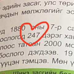 Baatarfly -30. Unofficial