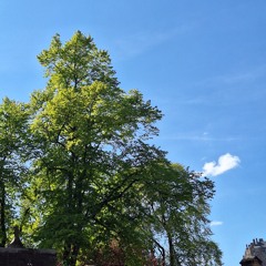 Teknique - 10.10 prod. Dearly Beloved (rough)