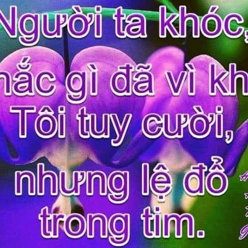 nhạc dành cho người hận tình yêu/ youngmups