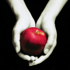 Chaosysl - Me And You (shahfromhell)#twilight