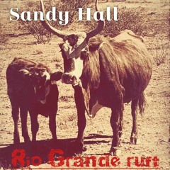 Rio Grande ruft. DEMO. SANDY HALL, Text VIKTOR WEBER