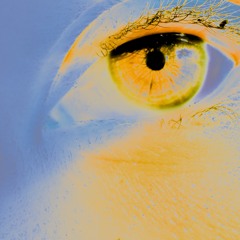 Didn’t You Mean That