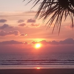 Lofi In to Summer
