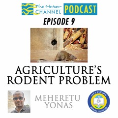 Agriculture's Rodent Problem
