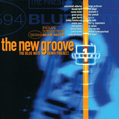 Mixed Feelings (The New Groove) (The Angel Remix)