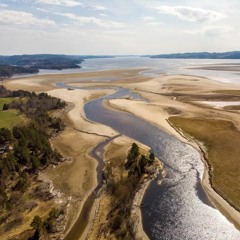 Alluvial Delta