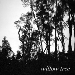 willow tree