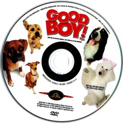 GoodB0Y! DVD_