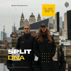 Split DNA - Live at WAV
