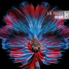 D.M. Project (feat. Chris Ponate) Colors (Radio Version)